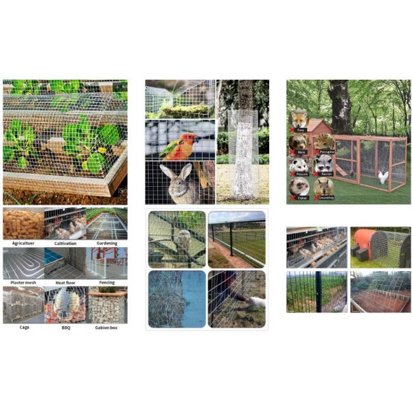 Poultry Enclosure Netting Rabbit Cage Iron Wire Mesh Farm Fence Roll Galvanized Welded Wire Mesh