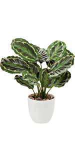 large fake plant