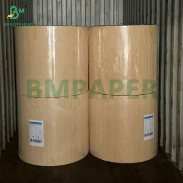 18g PE Coated Waterproof 210gsm Cup Stock Paper For Making Coffee Cup