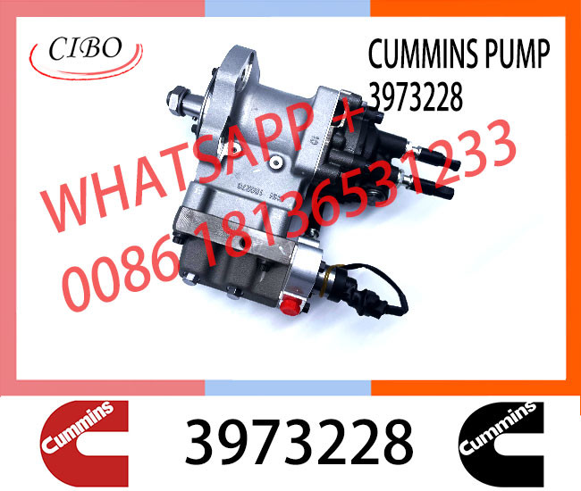 Cumminss Engine Parts QSL Diesel Fuel Injection Pump 3973228 4954200 2872191 4902731 2872930 4921431