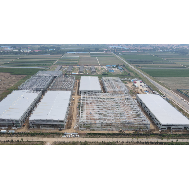 Q345B Q235B Prefab Light Steel Structure Construction Warehouse