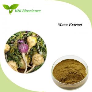 Quality Natural Maca Root Extract Powder Supplyment Lepidium Meyenii Walp Extract for sale
