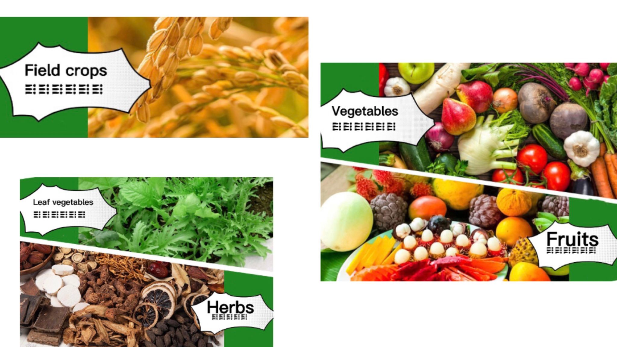 Yield Booster Water Soluble Liquid Fertilizer NPK 15-15-15