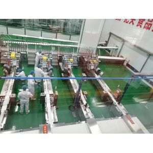 Automatic Packing Line Grain Crispy Chips Packaging Machine Automatic Cartoning
