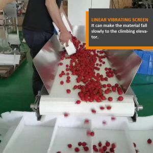Automatic Multihead Weigher Filling Machine Tomato Kumquat Small Carrots Filling