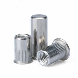 Quality Stainless Steel 304 Split Rivet Nut M10 Diameter Flat Head for sale