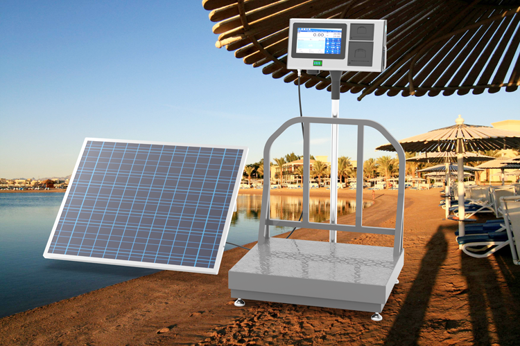 Floor Scale 7-Inch AI Intelligent Android System LCD Bench Scale Solar-Powered Weighing Scale kg Units Label Print Traceability OEM ODM