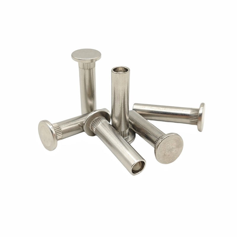 Half Hollow Design Flat Round Head Semi Hollow Rivet The Perfect Cleaning Tool