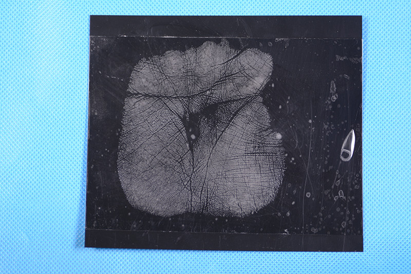 C157 Black low gloss palm print backing sheet