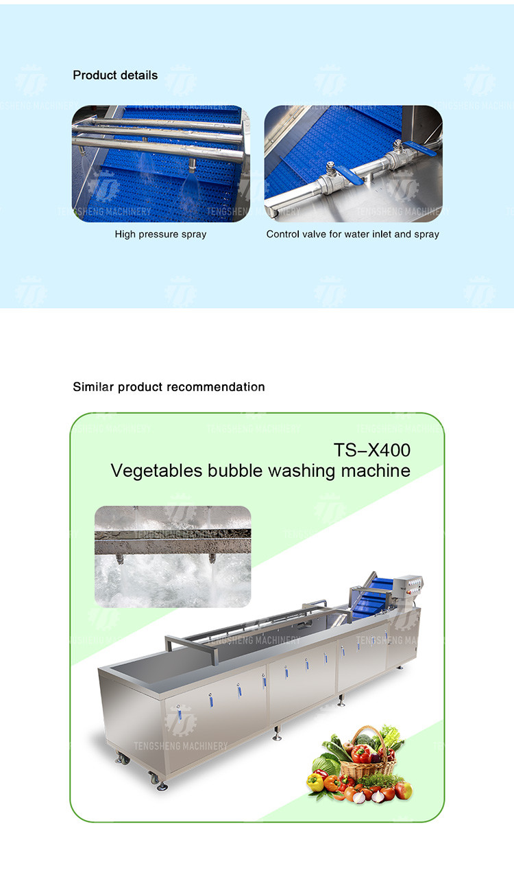 185KG Commercial fruit and vegetable washing machine stainless steel ozone disinfection bubble washing machine
