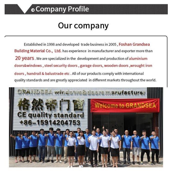 Modern Large Front Commercial Main Entrance Pivot Door Interior Low-E Glass Single Exterior Entry Aluminium Glass Pivot Doors