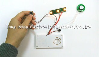 Magic Fuction Twinkling Lights Toy Sound Module Flashing Recordable Voice Chip