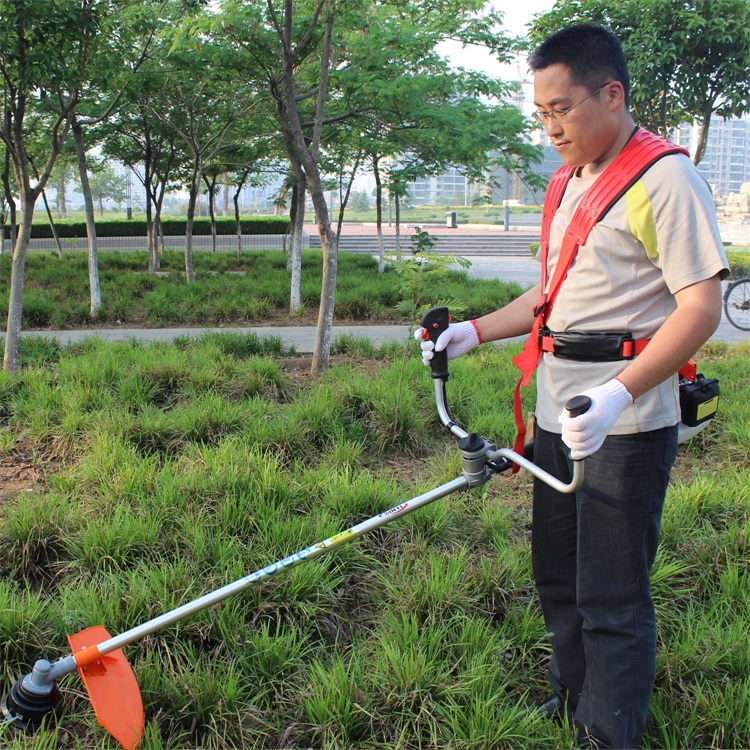 TU43 Weed Type Two Stroke Petrol Grass Cutter Machine Brush Cutter Backpack Type 42.7 CC