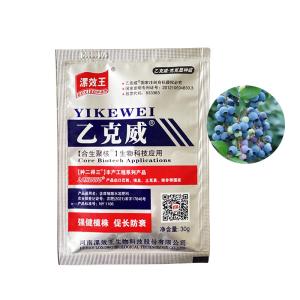 Quality Peat Humic Acid Granular Fertilizer Water Soluble 98% Flake for sale