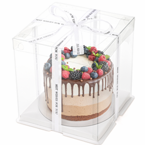 Clear Cake Box with Ribbon, 2-Layer Tall Cake Packaging Boxes 8x8x9 Inch, PET Cake Carrier Transport Container for Tiered Cakes, Transparent Gift