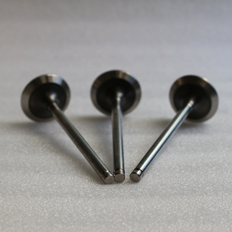Car Spare Parts Swirl Polished Diesel Engine Valve E13 E15 Intake Valve And Exhaust Valve 13201-01M00