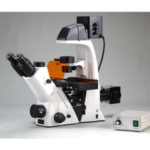 Quality High Point Inverted Biological Microscope Inverted Fluorescence Microscope for sale