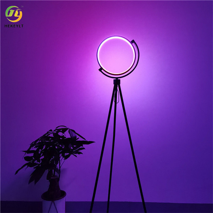 Danish designer art LED floor lamp indoor exhibition hall light luxury personality tripod vertical RGB table lamp