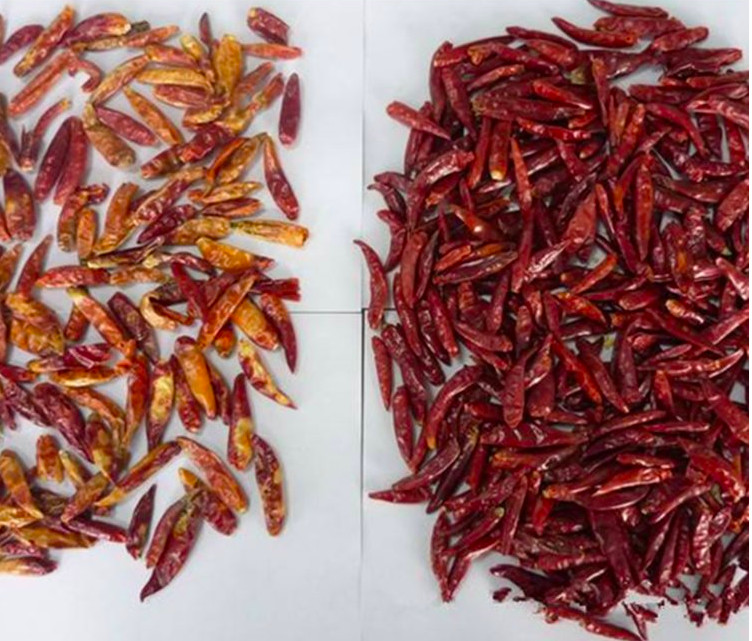 Customize Dry Red Pepper Sorting Machine 5400 Pixel CCD Sensor