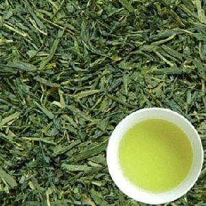 Quality natural Japanese organic sencha green tea for sale