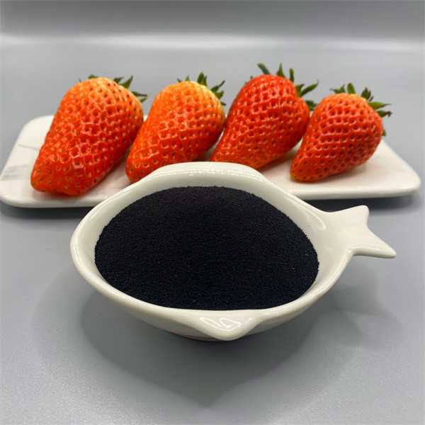SEAWEED EXTRACT BLACK 100% NATURAL ASCOPHYLLUM NODOSUM FOR OPTIMAL PLANT GROWTH