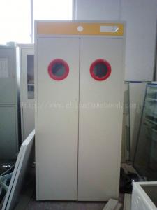 Quality Satety Laboratory Storage Cabinets , Gas Cylinder Cabinet With Alarm System for sale