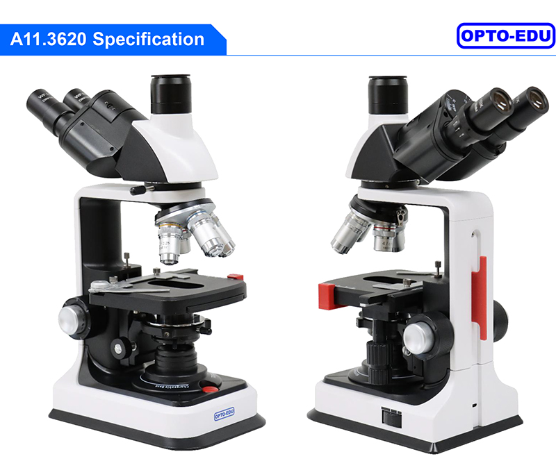 OPTO-EDU A11.3620 Trinocular Biological Microscope