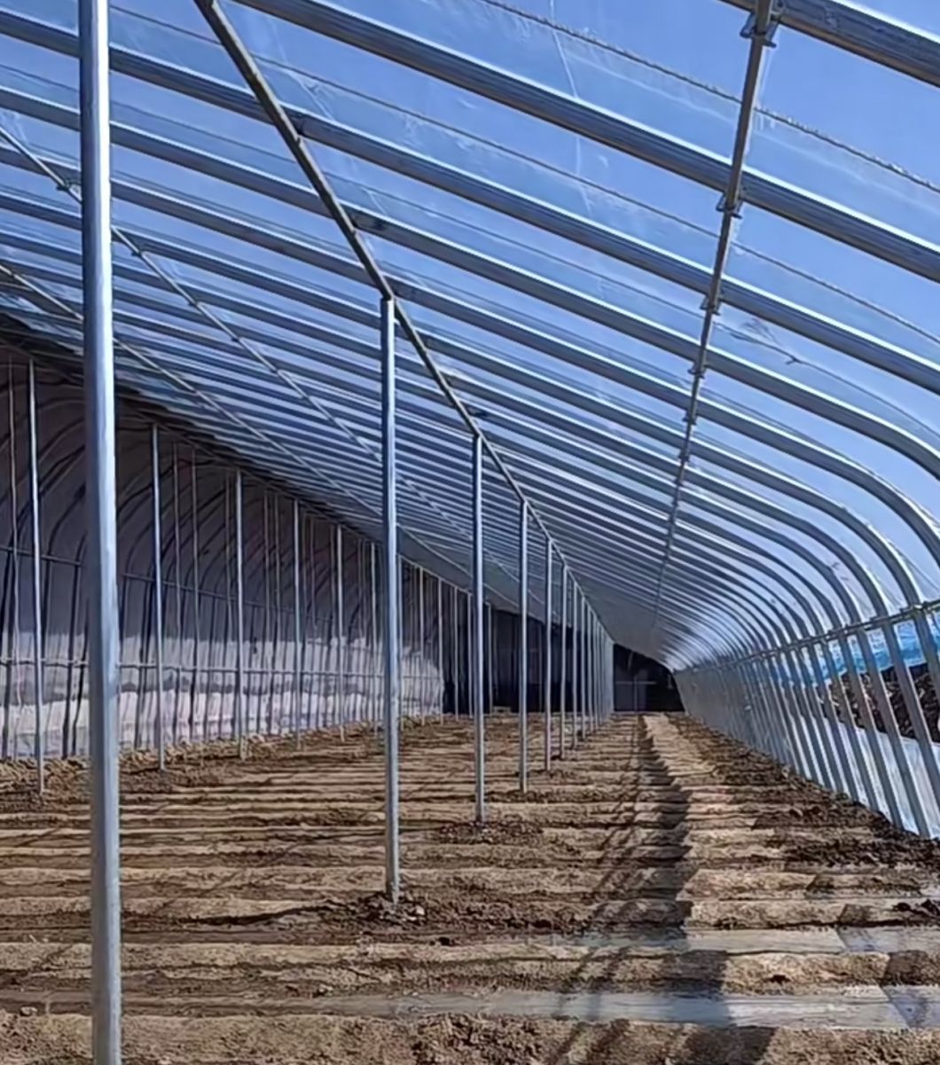Planting Drip Irrigation Sunlight Greenhouse