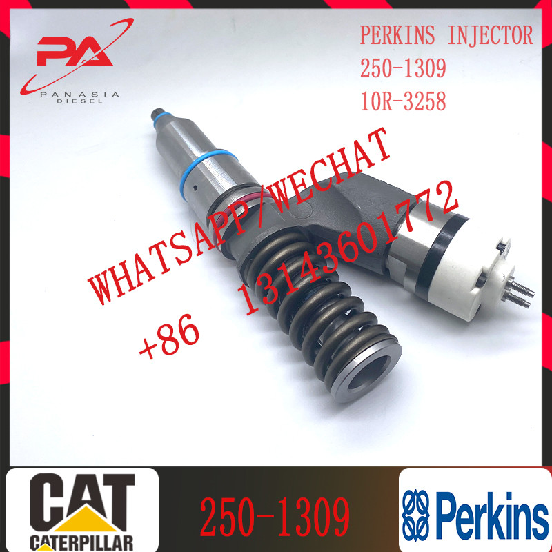 Engine Diesel C-A-T Fuel Injector For C-A-Terpillar 250-1309 10R-3258 10R3258 C13 Excavator