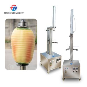 watermelon Hami Melon Vertical one knife peeling machine papaya chieh-qua