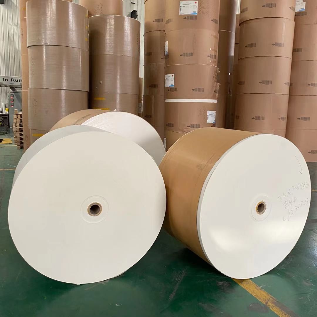135gsm - 340gsm PE Coated Paper Roll Waterproof For Paper Cup
