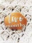 Acrylic Carved Wooden Milestone Discs Gift Pregnancy Milestone Discs