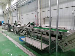 China 500T/D Guava Pulp Production Line 415V Guava Processing Plant For Concentrated Juice on sale
