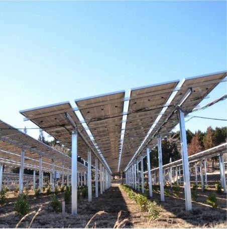 Hot Dip Galvanized Steel Aluminum CY Solar Photovoltaic Ground Mounting System