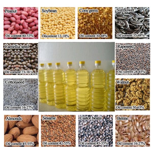 Max pressure for working Mpa 55 Automatic Avocado Oil Extraction Machine/Olive Oil Press/Shea Butter Making Machine 240 KG