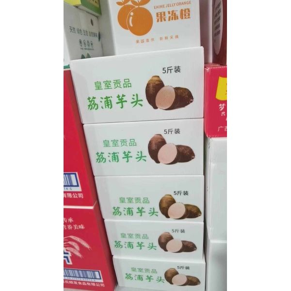 Polypropylene Corrugated Plastic Shipping Boxes Hard Customized Color PP Corrugated Box