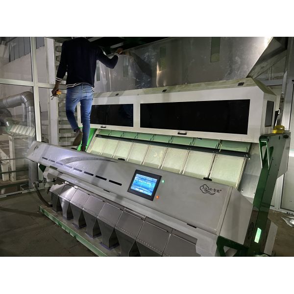 Stainless Steel Material Beans Color Sorter With 8 Chutes 4 - 5t/H