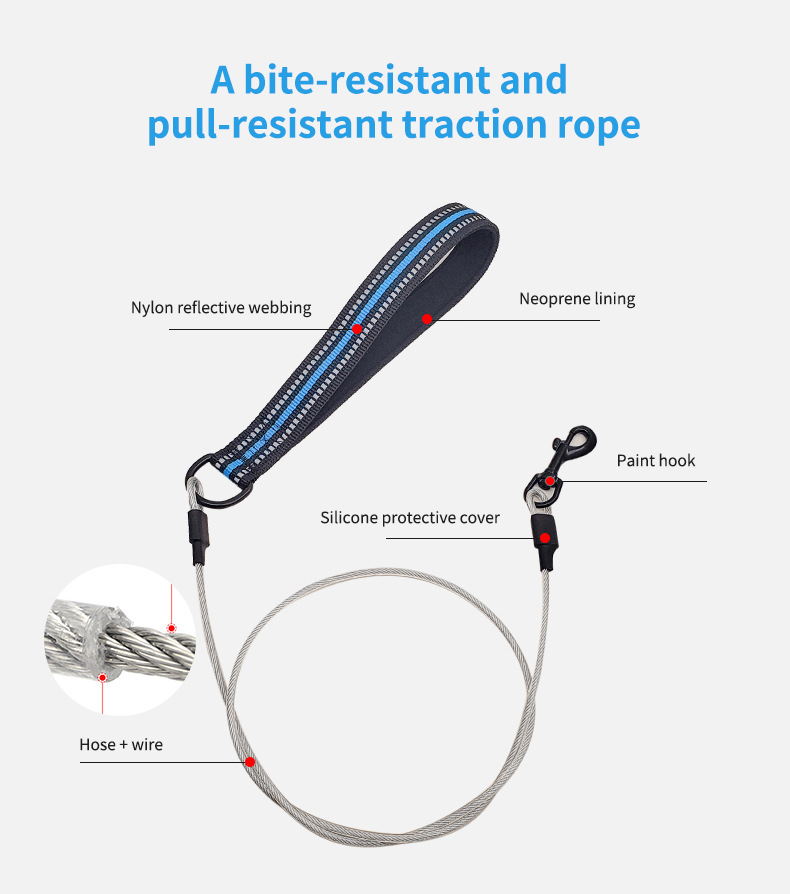 Comfortable Soft Padded 4FT Pet Leash Metal Anti Chew Leash Strong Anti Bite