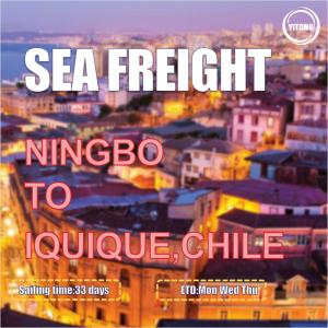 China Ningbo To Iquique Chile Global Ocean Shipping International Freight Forwarder 30 Days on sale