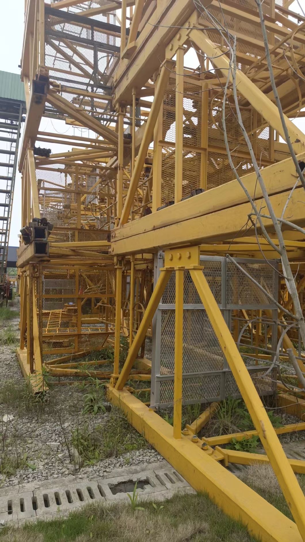 Zoomlion Tower Crane (TC7035B-16) Is in Short Supply, Come to Snap up
