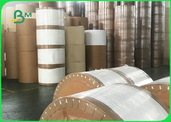 190gsm 210gsm Cup Stock Paper Rolls For Ice Cream Fully Recyclable 720mm 880mm