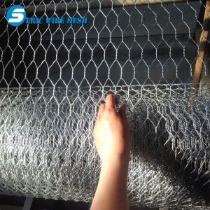 Chicken Wire Netting, Hexagonal Wire Mesh