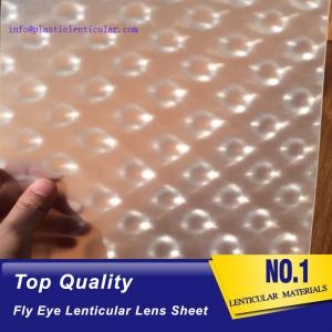 Quality PLASTIC LENTICULAR clear fly-eye plastic sheet fly eye lens film material with 360 3d effect for sale