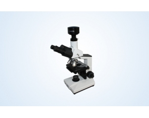 Quality Digital microscope of biological microscope with camera and software for sale