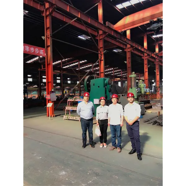 Wholesale 54 M2 Prefab Lightweight Steel Frame Garage Carport Storage Shed