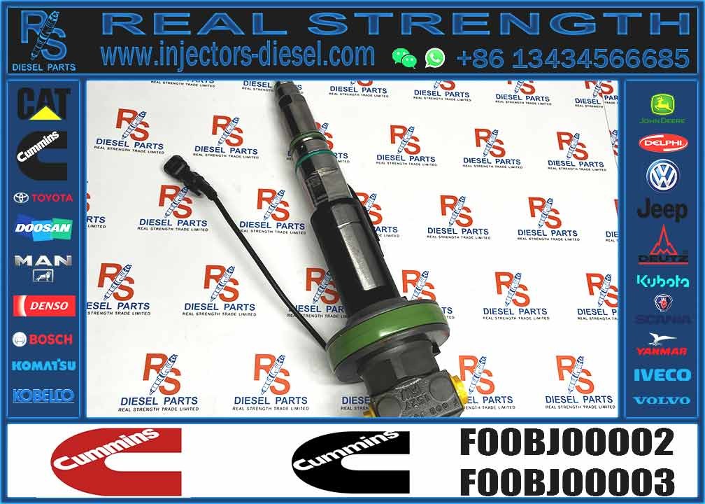 Common Rail Injector Assembly 2867148 F00BJ00003 2881089 2882078 F00BJ00002 AAHCM03002 AAHCM03028 For QSK19 QSK38 QSK50