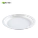 wholesale biodegradable sugarcane tableware disposable bagasse compostable paper