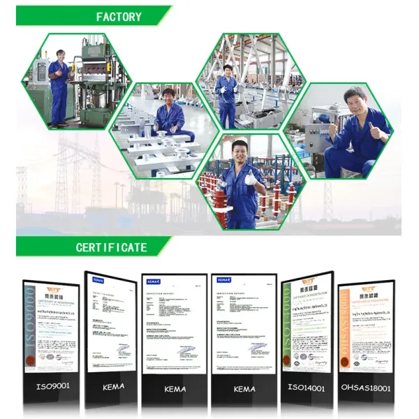 Metal-Oxide Lightning Arrester Surge Arrester 10ka, 21kv