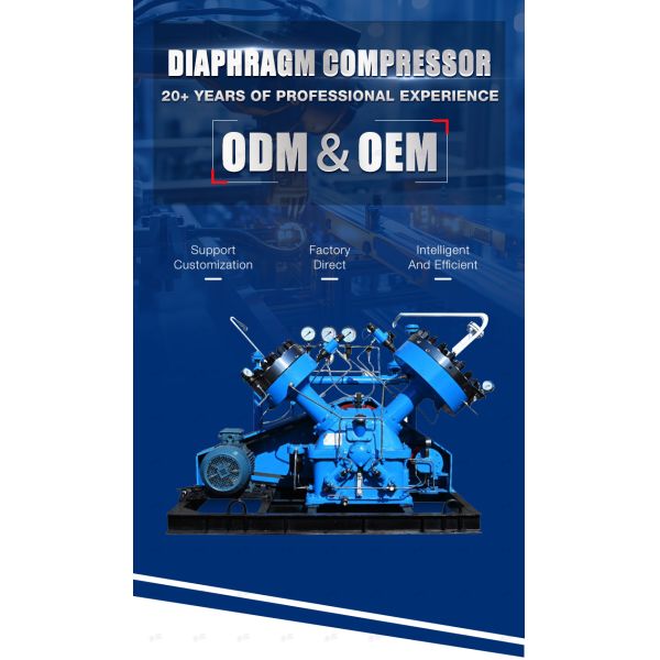 Diaphragm Compressor Gas Air Hydrogen High Purity Hydrogen H2 Helium Compressor Powerful Oil Free Diaphragm Compressor