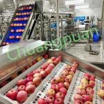 Cloudy Apple Juice Processing Equipment With PLC Control